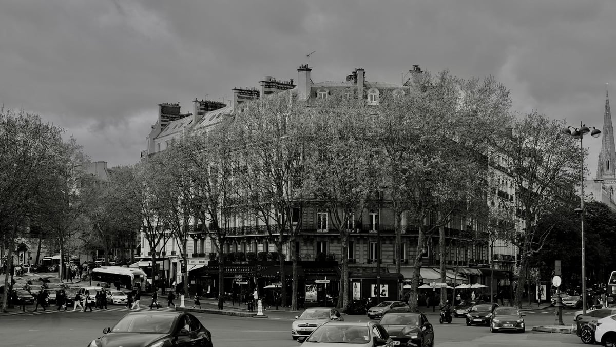 L'angle d'un immeuble haussmannien derrière les arbres, la circulation sous un ciel lourd.